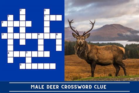 crossword male deer